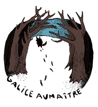 Ultra-book de Galice Aumaitre Portfolio :Illustration