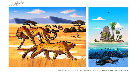 Darwin, une origine des espèces