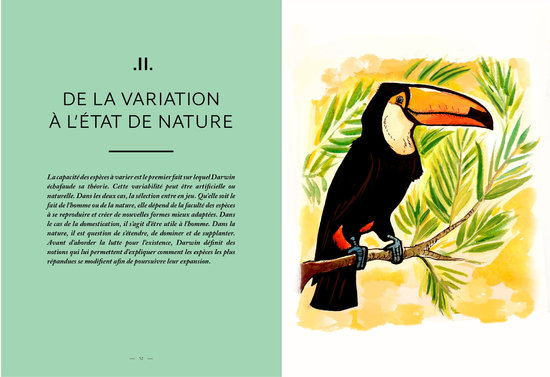 Darwin, une origine des espèces