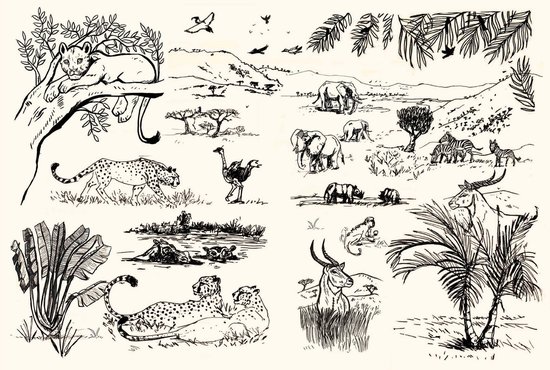 Darwin, une origine des espèces