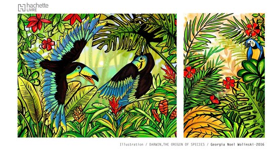 Darwin, une origine des espèces