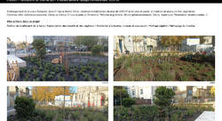 Projet Créa. : Place Renaudel (Bordeaux) - Gwenaëlle Kergal-autre