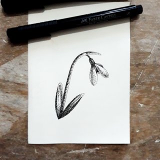 Recherche pour une illustration - Perce-neige en fleur
