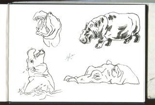 Hippopotames - Pinceau, encre de Chine et feutre