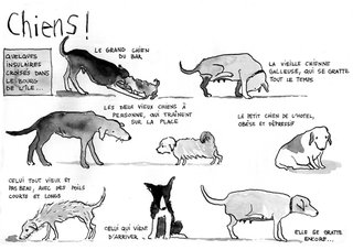 Chiens ! 1