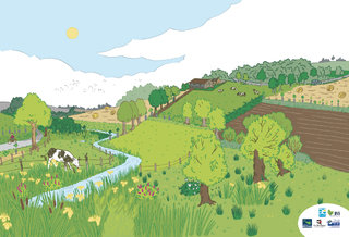 IllustrationBVII-1.jpg