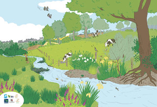 IllustrationBVII-2.jpg