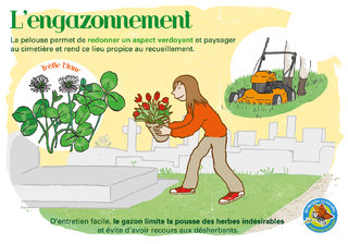 L'engazonnement.jpg