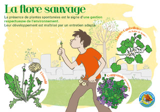 LaFloreSauvage.jpg