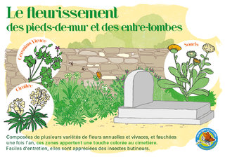 LeFleurissement.jpg