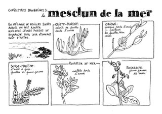 Mesclun de la mer