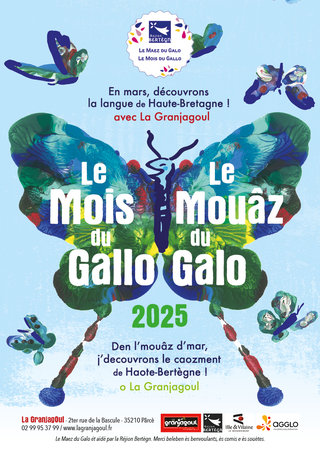 MoisGallo25-Web.jpg