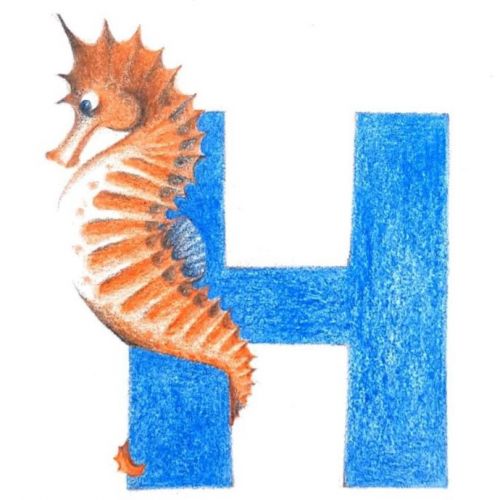 Hélène Chancerel-illustrateur