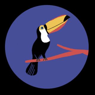 Anne Hemstege :  Portfolio 