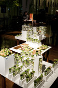 Ecopolis