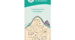 Roll up Pédagogique - Virginie Trémé-illustrateur