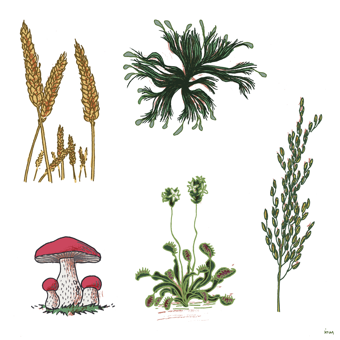 Illustration sur le thème de l'intelligence végétale