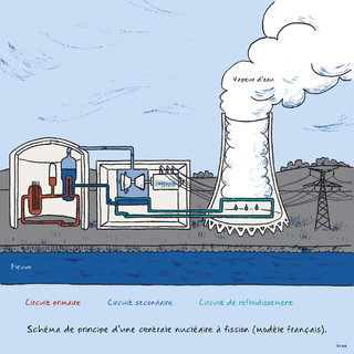Magazine Sciences et Savoirs : illustration (2021)