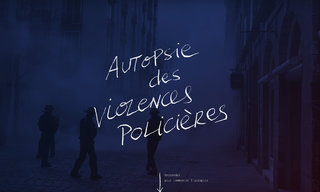 Infographie interactive : les violences policières (2018)