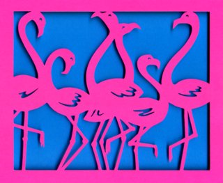 Flamants roses