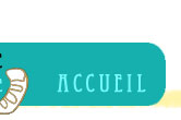 accueil book