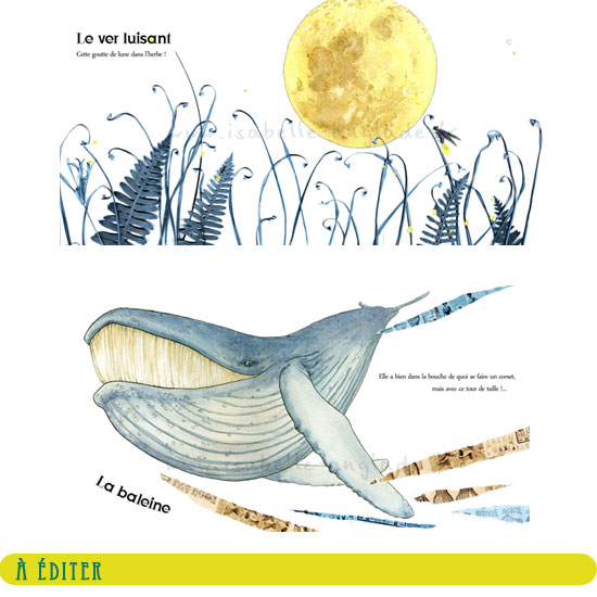 Histoires naturelles - illustrations d'Isabelle Anglade sur des textes de Jules Renard