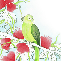 Isabelle Pellouin :  : Ultra-book