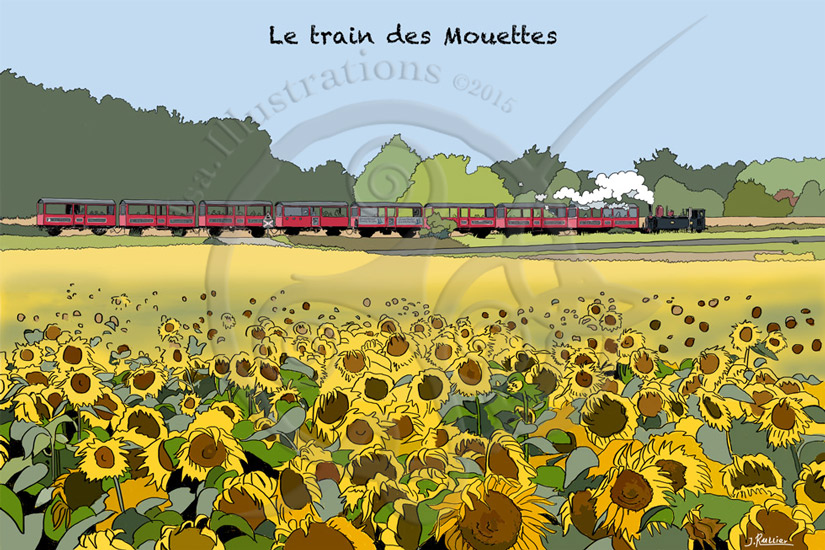 "Le Train des Mouettes" dans les champs de tournesols (Charente-Maritime)