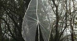  - Alain Jacomy-plasticien