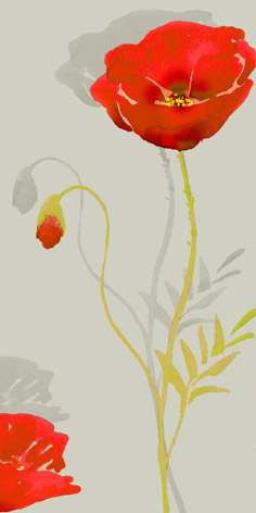 poppies