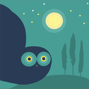 chouettelune2 copie.jpg