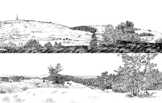 Paysage