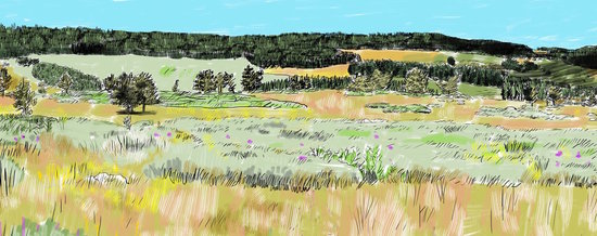 Paysage