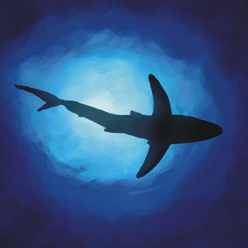 jérôme heydon - illustrateurs/rices