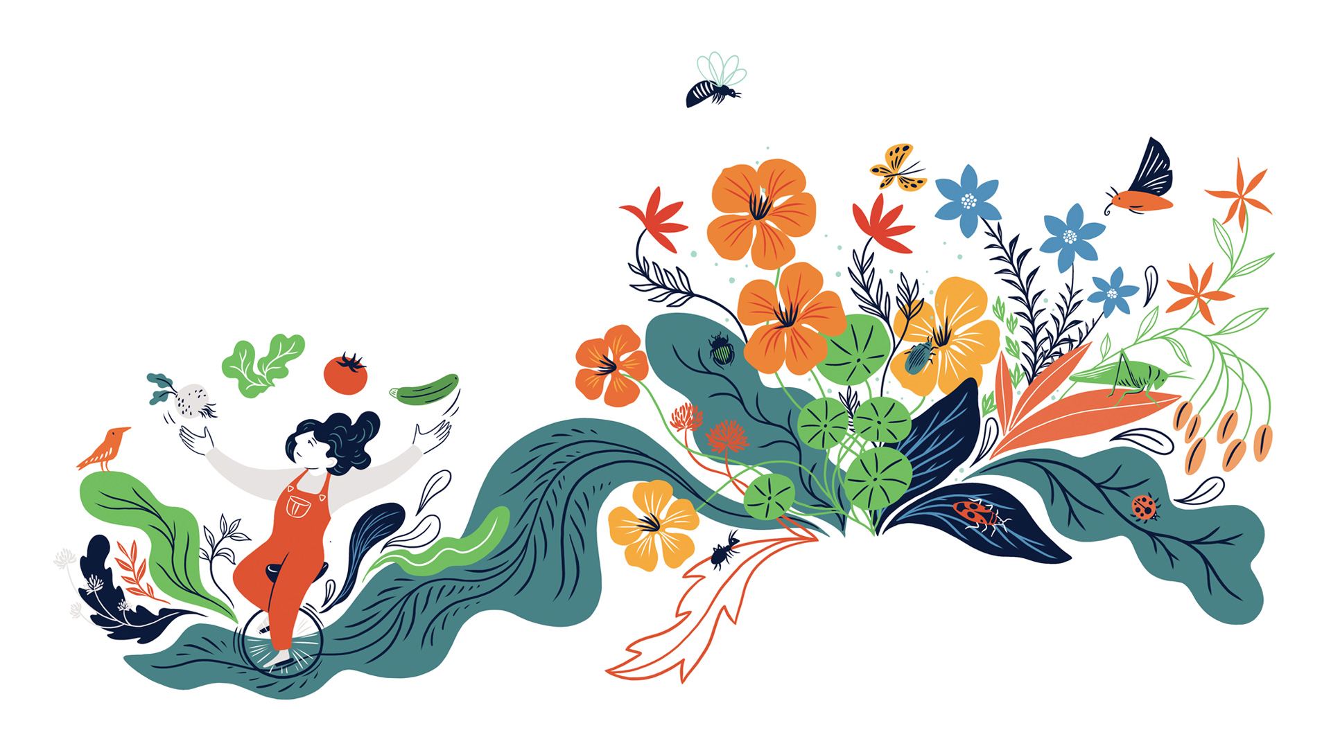 La permaculture et fleurs, illustration pour 