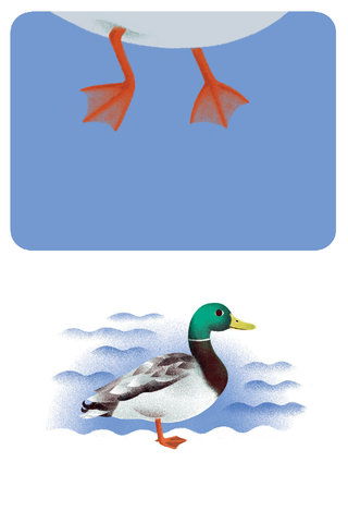 Les animaux de la ferme