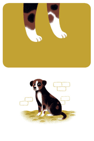 Les animaux de la ferme