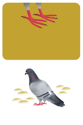 Les animaux de la ferme