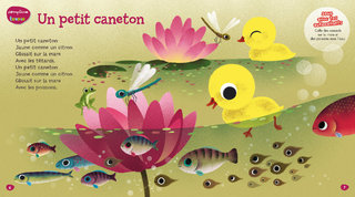 Un petit caneton / Comptine