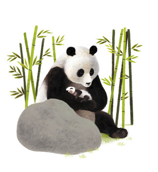 L'histoire vraie de YenYen le panda géant