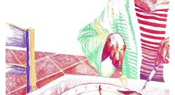 Un homard - Juliette Marmonier-illustrateur