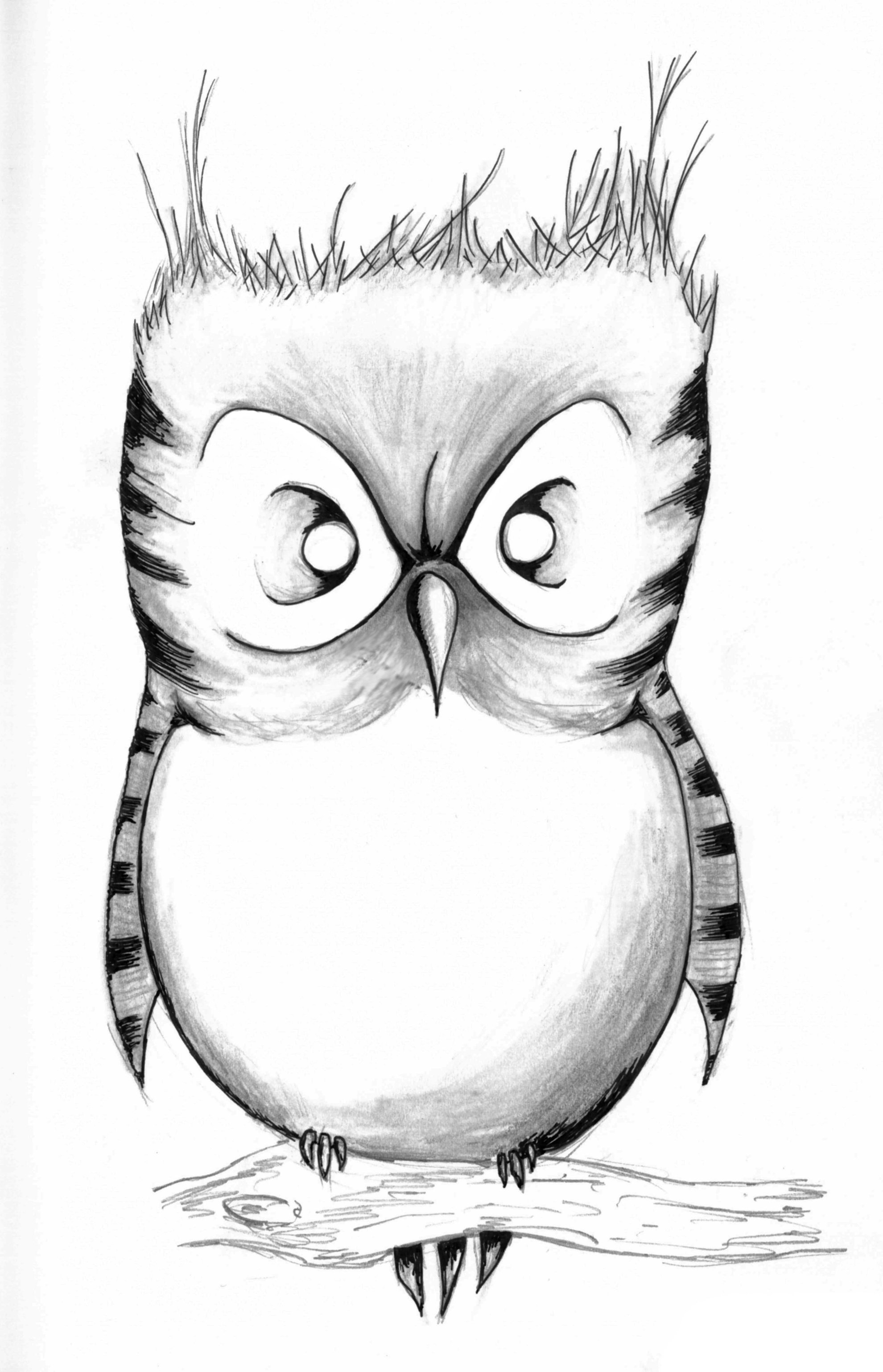 Hibou pour enfants