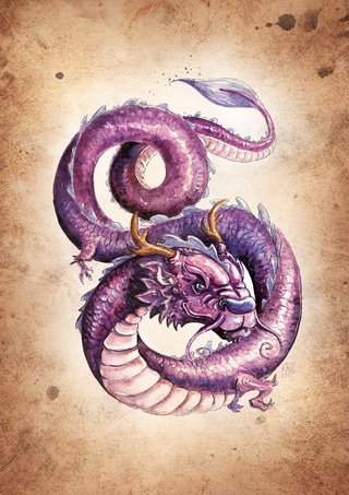 dragon violet + fond.jpg