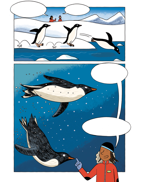 Usborne Antartica 02.jpg