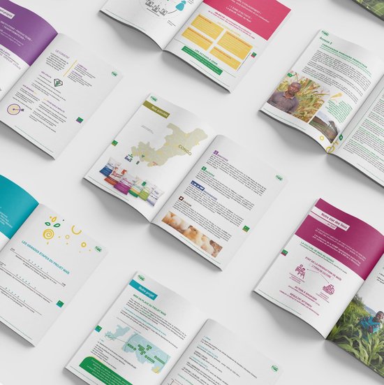 SGMP • Rapport Activité 48p
