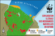 Exploitations illégales en Guyane