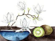 Magnoloia et Kiwi