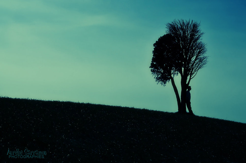 "L'Homme et l'Arbre"