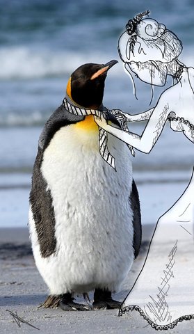 Pingouin Style