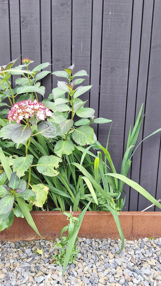 Projet Hôpital-Camfrout détail.jpg